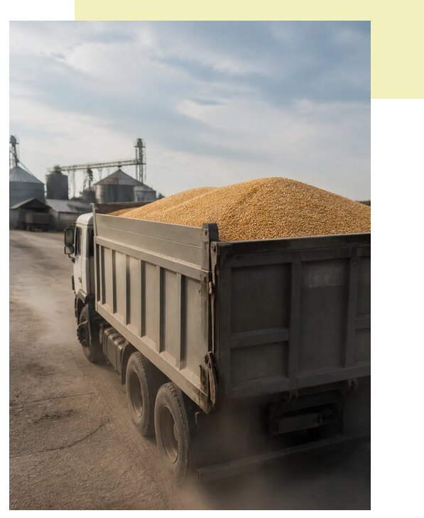 Перевозка сельхозпродукции навалом в Севастополь по цене от 3096 р. | Агросервис-Сев